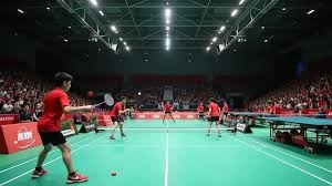 解析亚利桑那响尾蛇队如何通过多元化球员组合实现多维战术压制