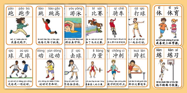 意甲第11轮最佳阵容：劳塔罗领衔，佩7、萨56、贝拉尔迪入选